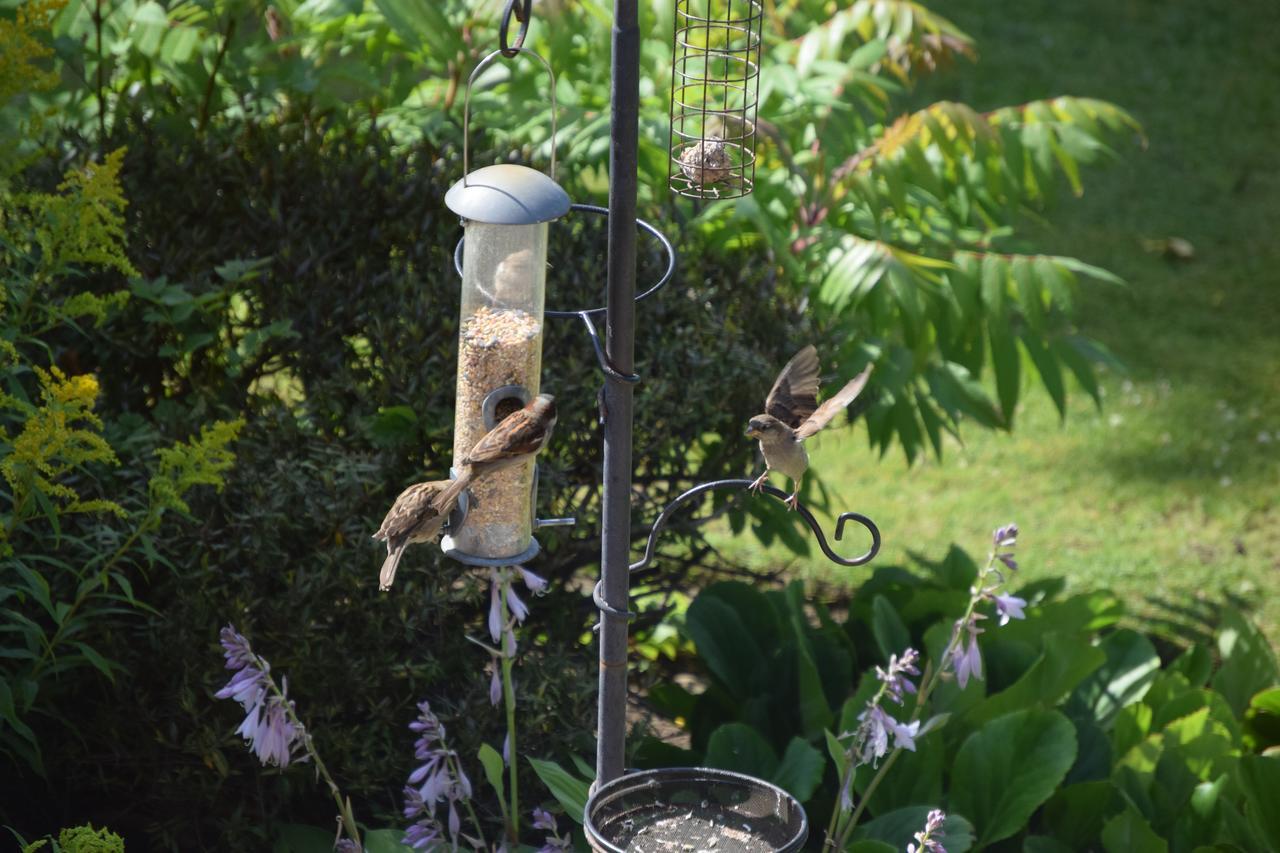 Willows Bed & Breakfast Pitlochry Buitenkant foto