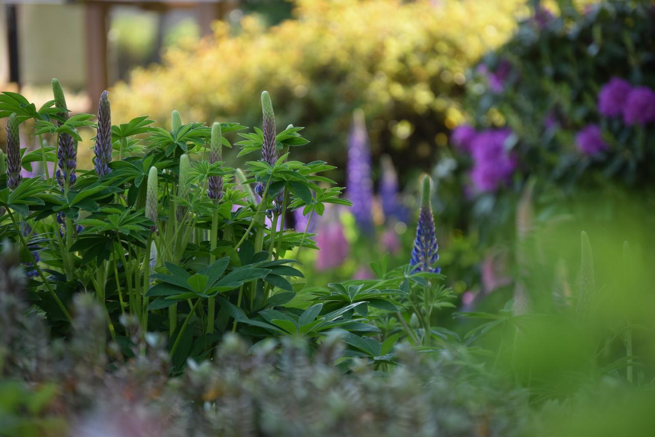 Willows Bed & Breakfast Pitlochry Buitenkant foto
